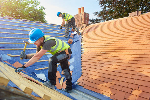 Best Skylight Installation and Repair  in Holly Hills, CO
